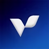 Vikion Solutions logo
