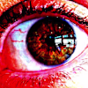 Robert 's avatar