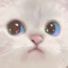 Nin's avatar