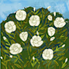 Soumya's avatar