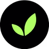 Developios logo