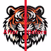 Syeda's avatar