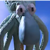 Rayfan's avatar