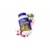 ProvaDent ORAL HEALTH