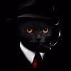 Rohit's avatar