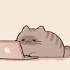 Cat's avatar