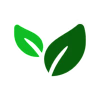 Silicon's avatar
