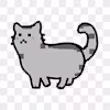 Shweta's avatar