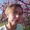 Fani Lovchalieva's avatar