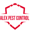 Pest Control's avatar