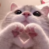 Aliza's avatar