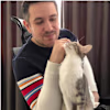 Stefan Radu's avatar