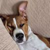 Jerry Ray's avatar