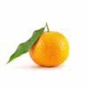 Orange's avatar