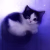 Anna  's avatar
