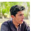 Adnan Ullah