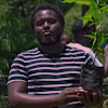 Nzyoka  