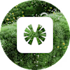 Klimt Creations logo
