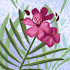 Enas's avatar