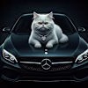 Ghada AL's avatar