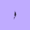 Lavenders Creative's avatar