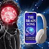 The Brain Song Official Cost