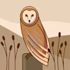 Zeeshan's avatar