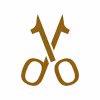 Devtailor logo