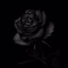 jaz's avatar