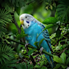 I.Jawad's avatar
