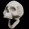 yepe JDGC's avatar