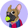 Profile avatar