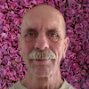 Curtis Ray