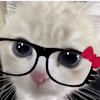 Tripti's avatar