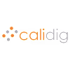 Calidig IT Solutions LLP's avatar
