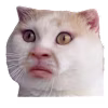 Hanna's avatar
