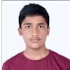 Bhanusharan T