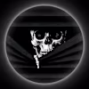 Quietveil 's avatar