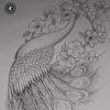 Swanandi's avatar