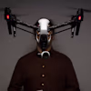 Scott McLeslie's avatar