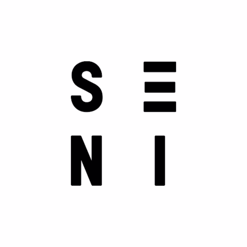 Mike Seni