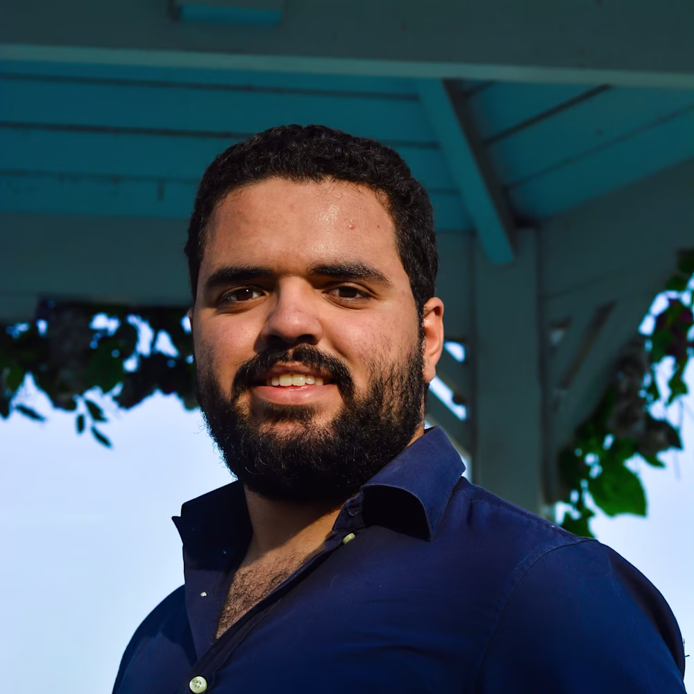 Mahmoud Amr