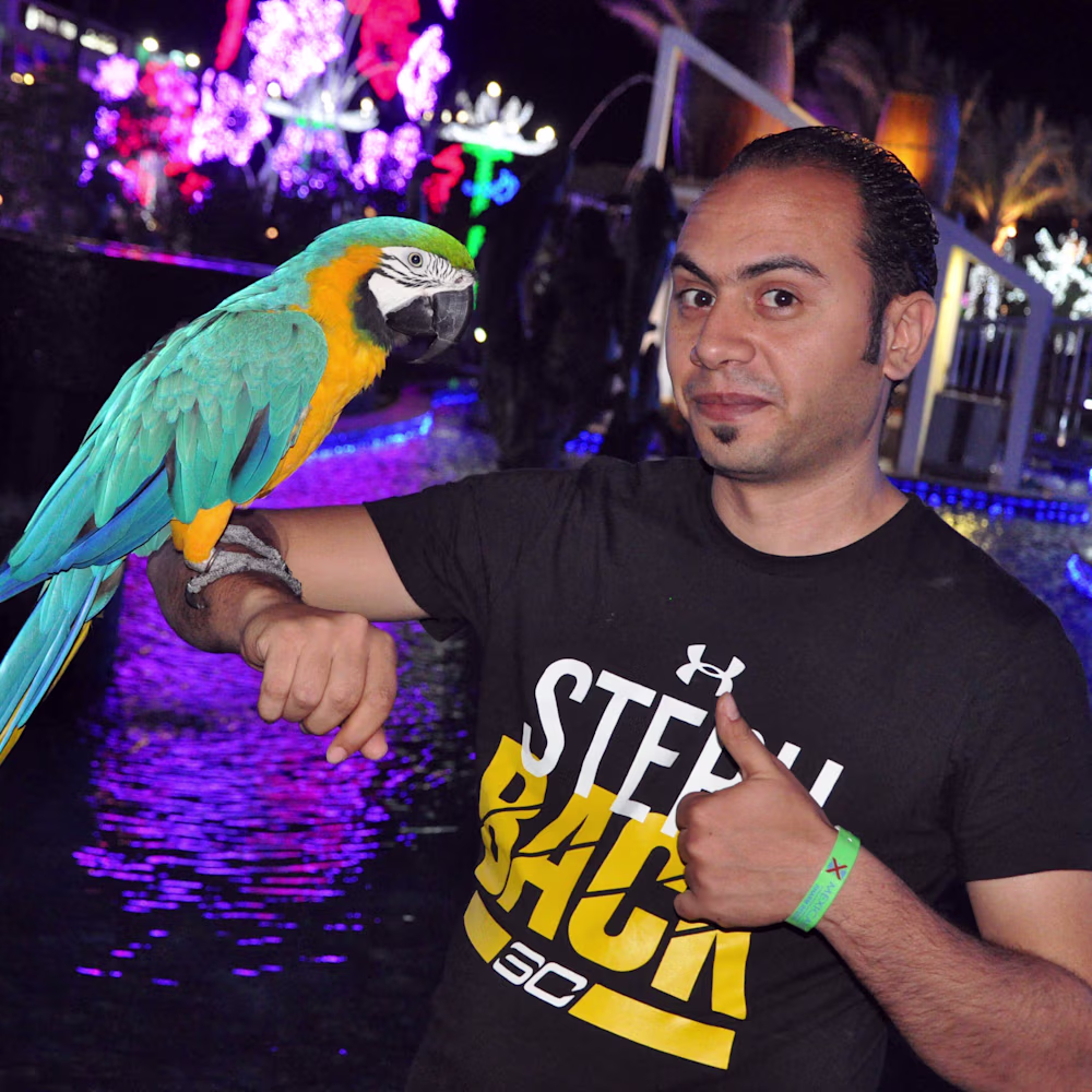Ahmed Lotfy