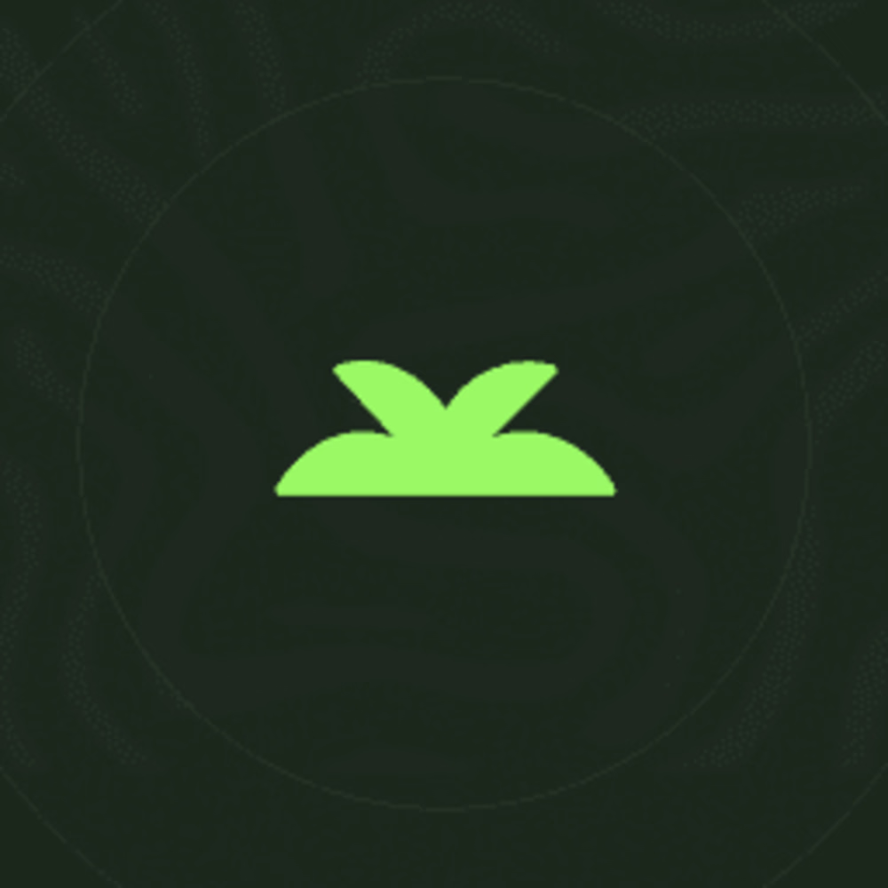 Yungle Web