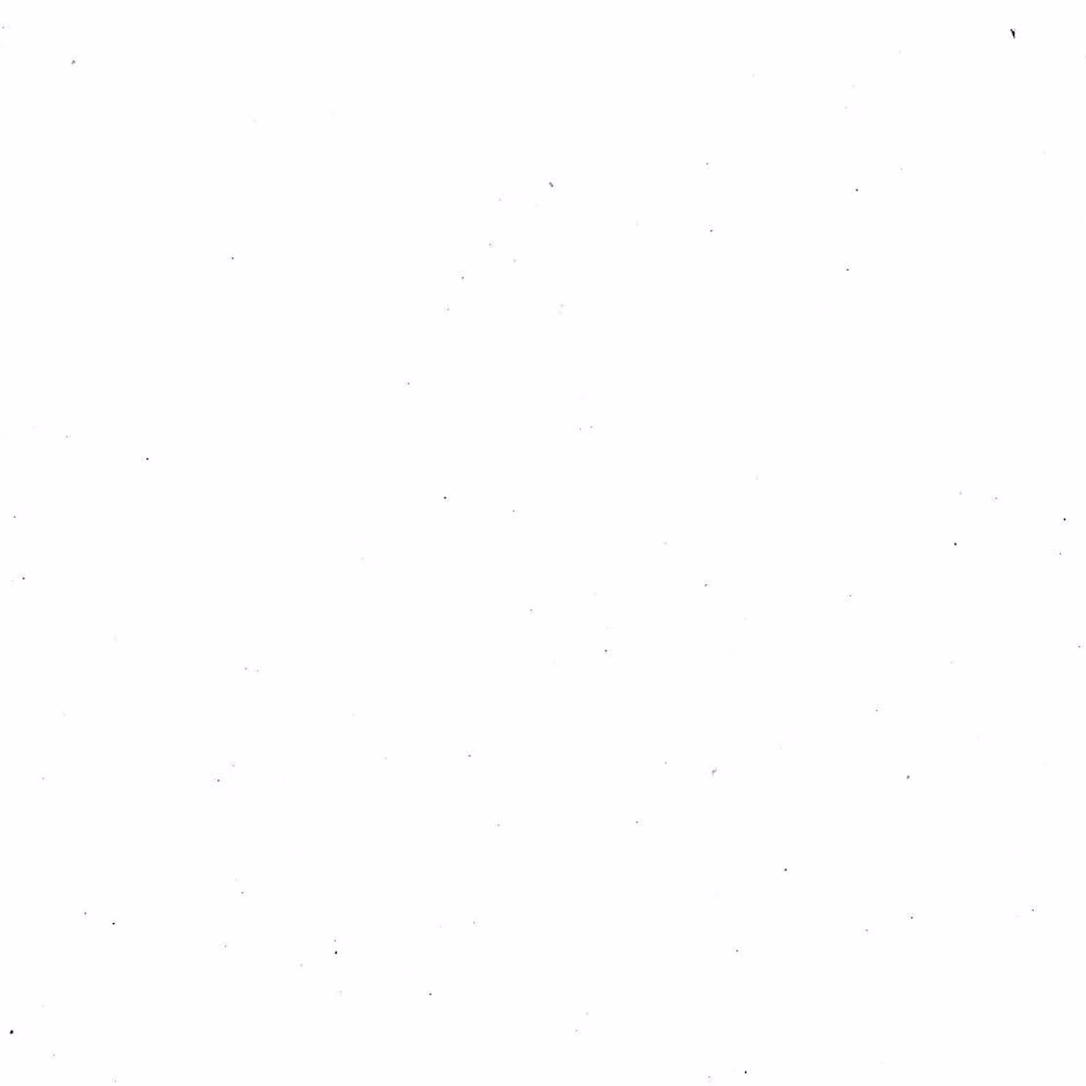 Nora E