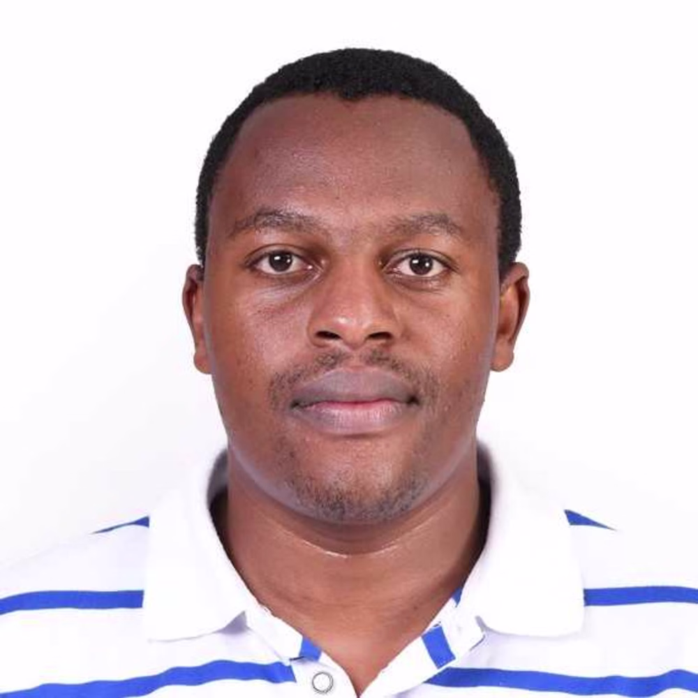 paddy maina
