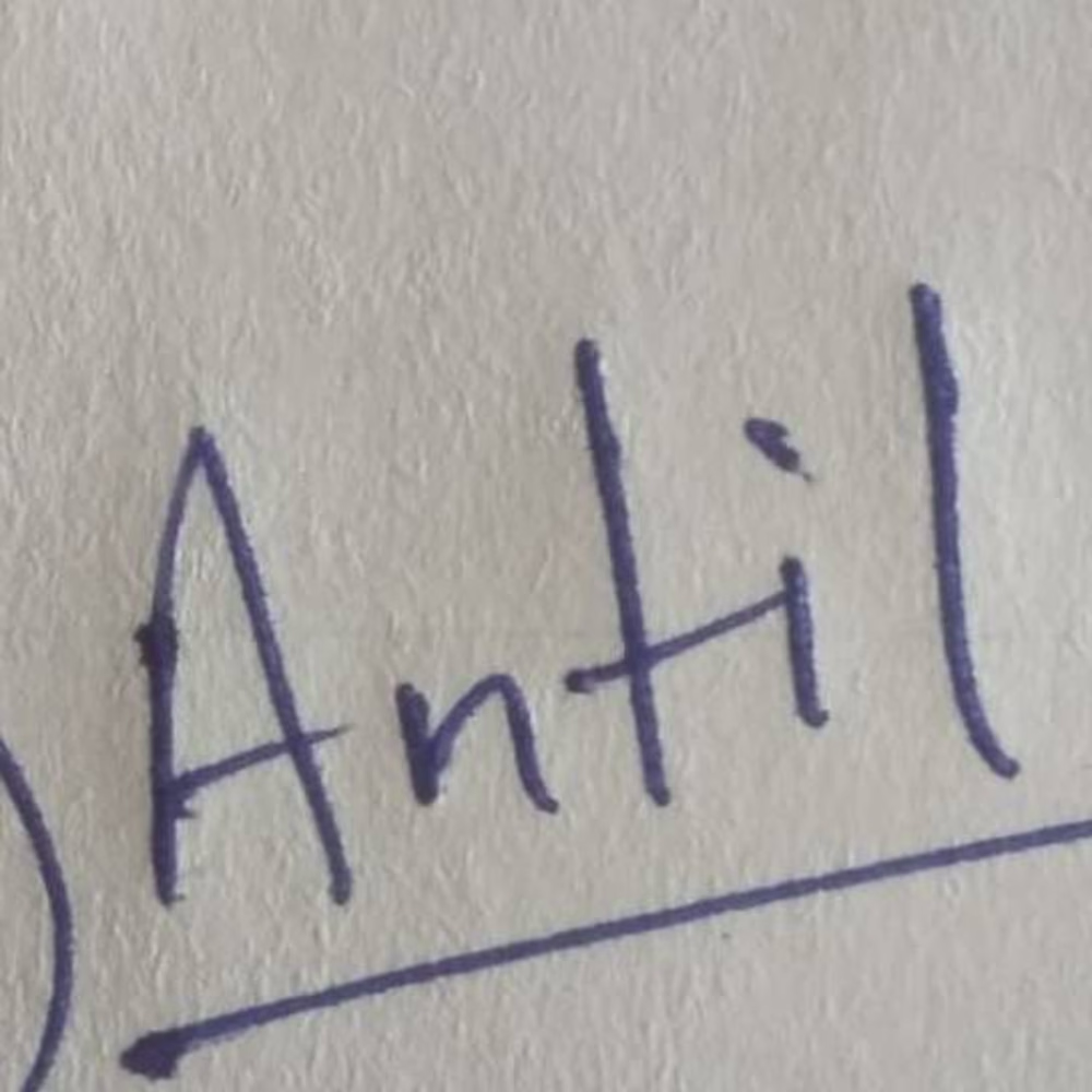 SHAURYA ANTIL