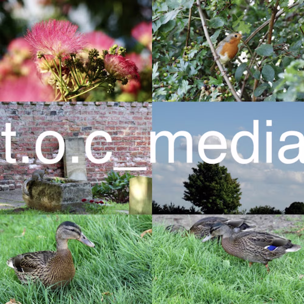 TOC  MEDIA