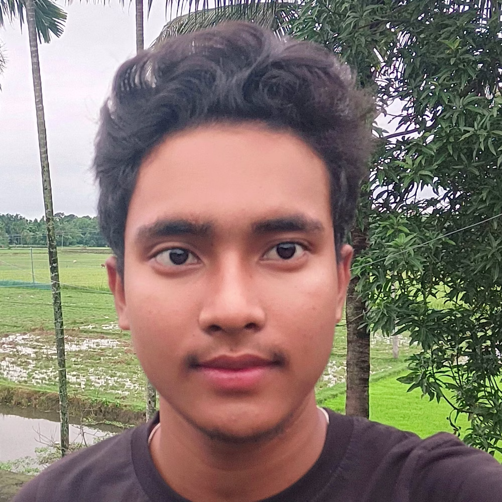 Bultan Ray
