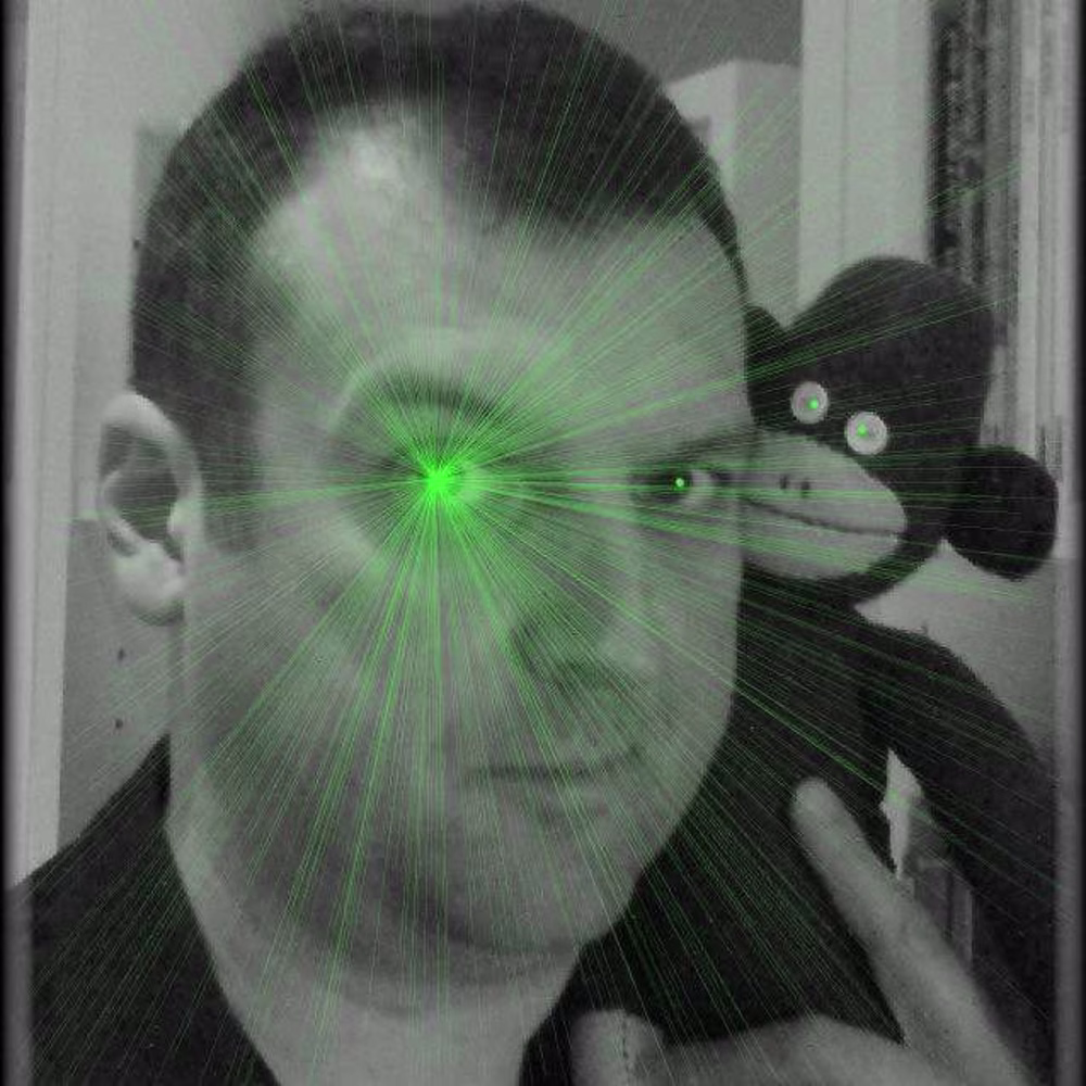 Steve W